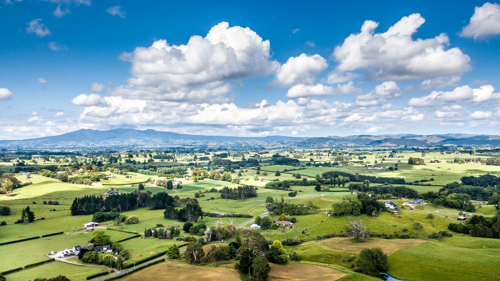 Waikato, BOP & Gisborne - Programmed NZ