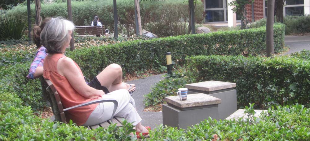 Healing Gardens and Healthcare: How Gardens Are Good for Your Health