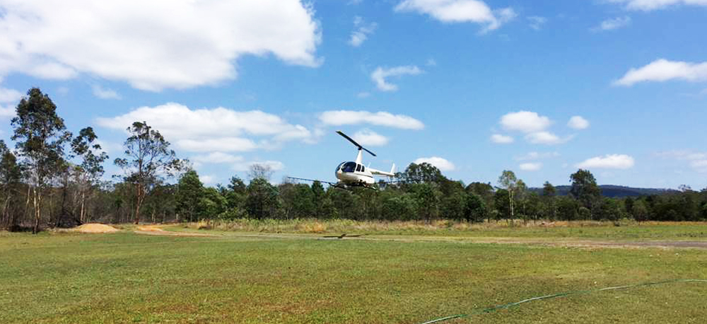 Curbing the Giant Rat’s Tail Weed Using Aerial Tactics (GRT Weed)