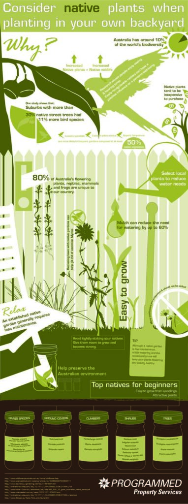 Benefits of Planting Australian Native Plants Infographic