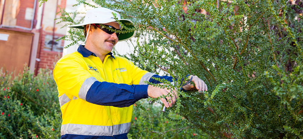 Gardens – The Next Big Contributor to Operational Outcomes