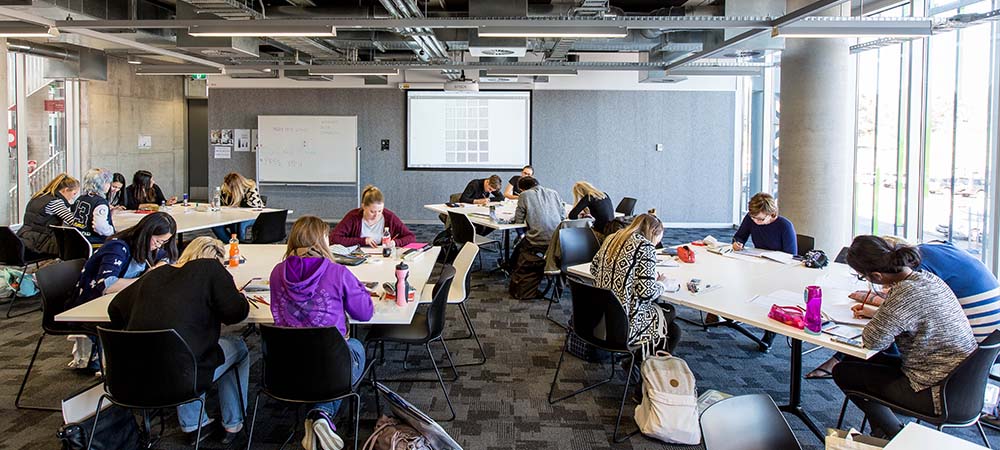 Truly Portable Video Conferencing?