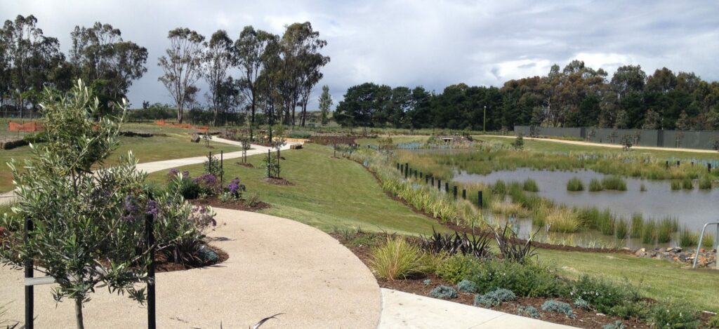 The Little Known Benefits of Constructed Wetlands