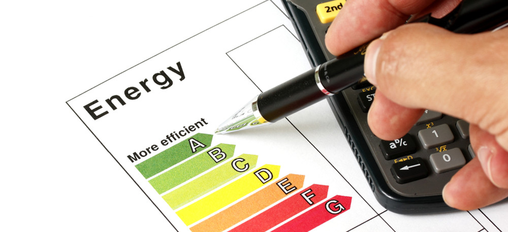 Educating A Sustainable Future At Our Schools