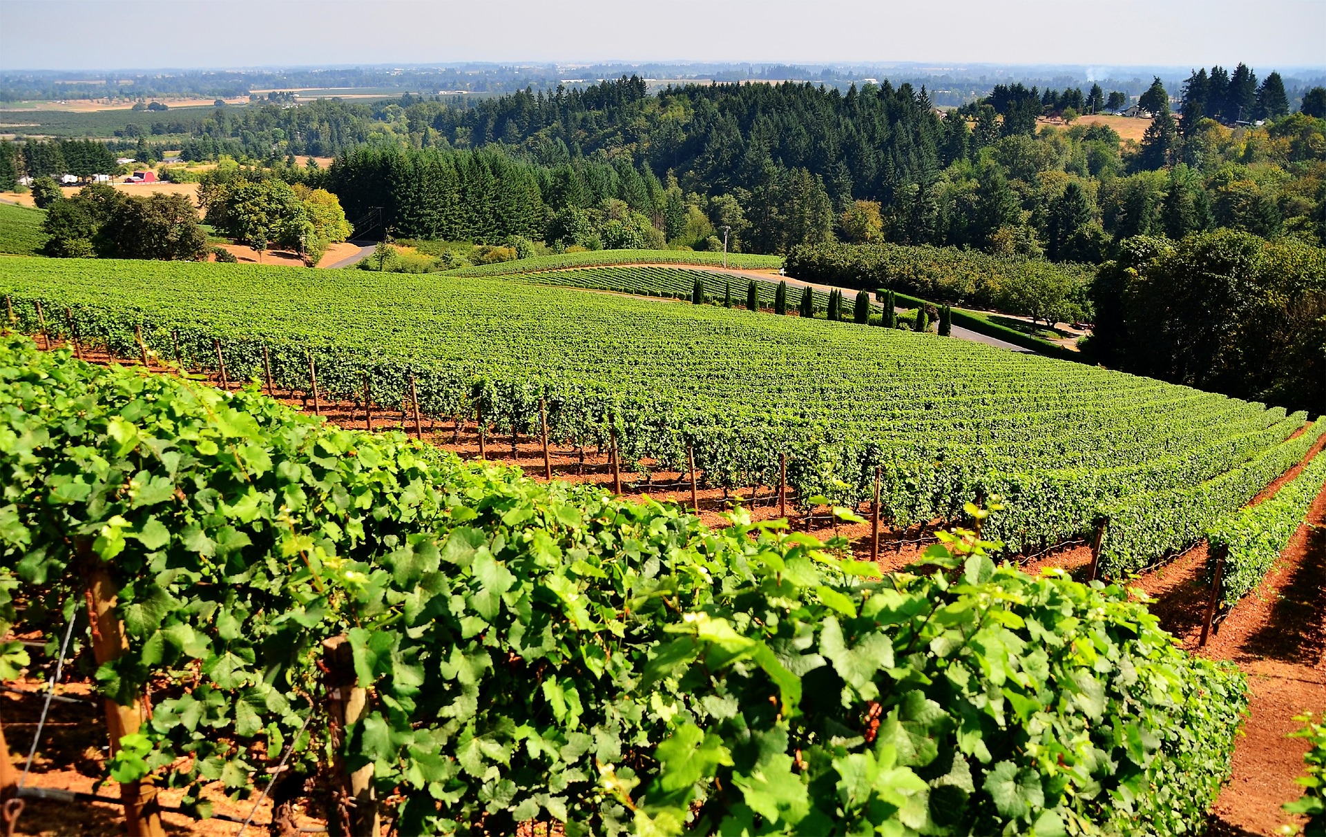 Modular Signage Systems for Wineries