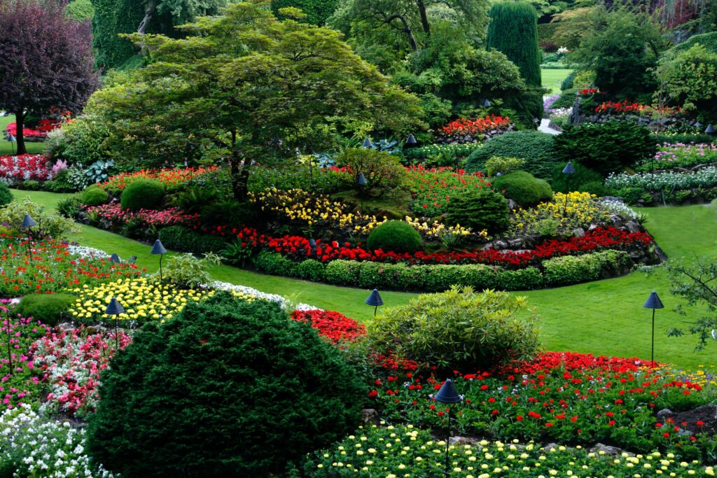 Colour Psychology in Gardens