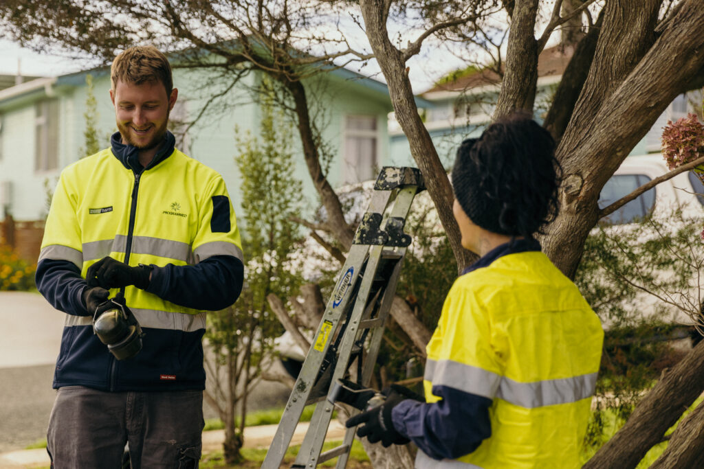 programmed nz open space