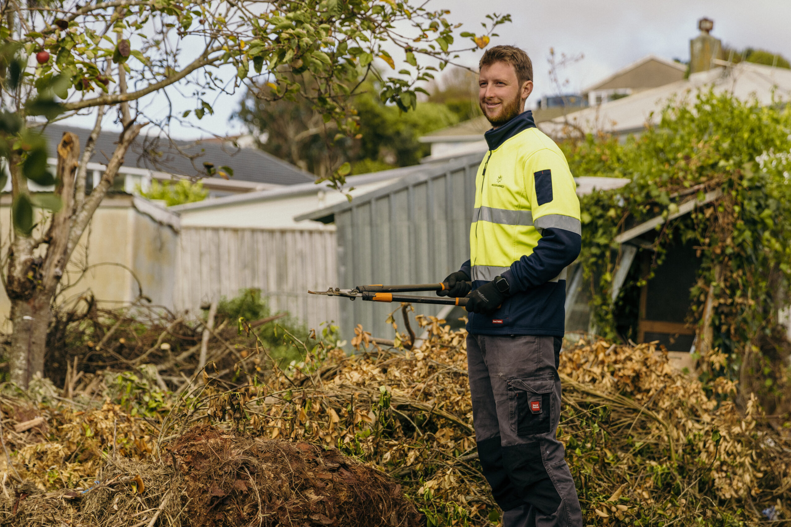 programmed nz open space