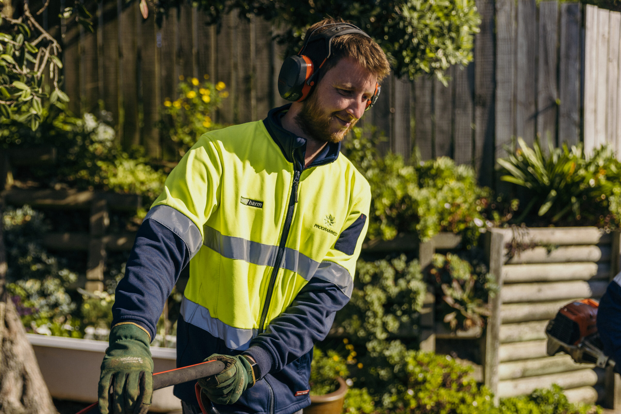 programmed nz open space