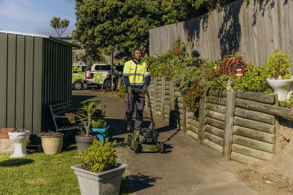 programmed nz open space