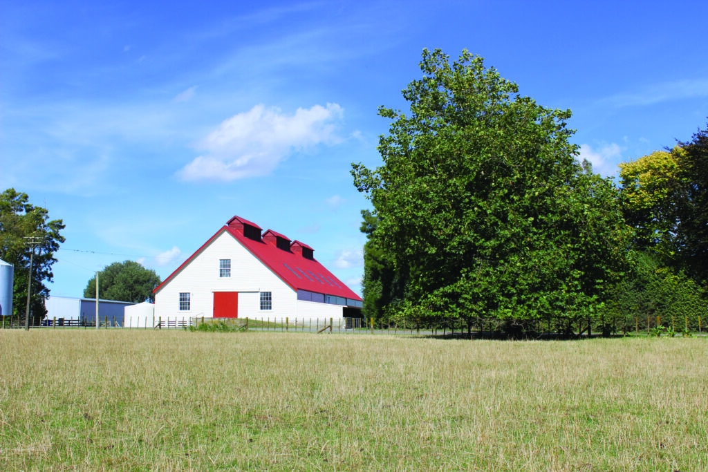 Supporting the People Behind New Zealand’s Dairy Sector