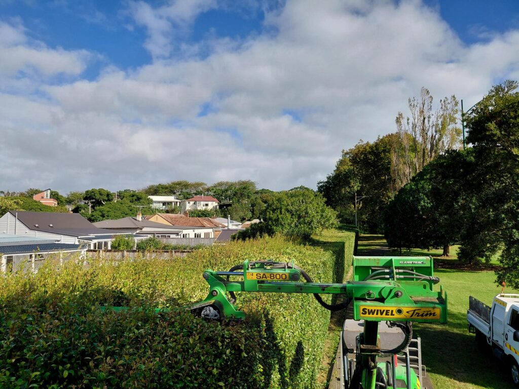 Smarter Ways of Working in Our Parks