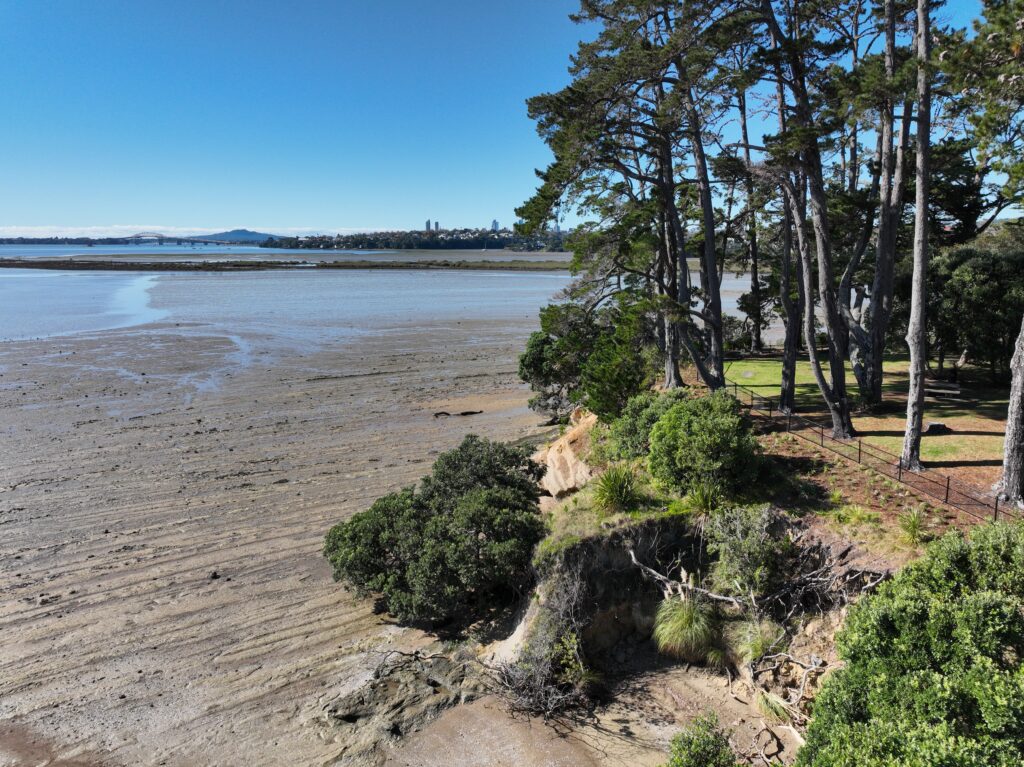 Restoring a Coastal Park with Care and Purpose